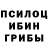 Псилоцибиновые грибы ЛСД Astoria Phoenix