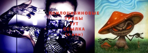 ешки Майский